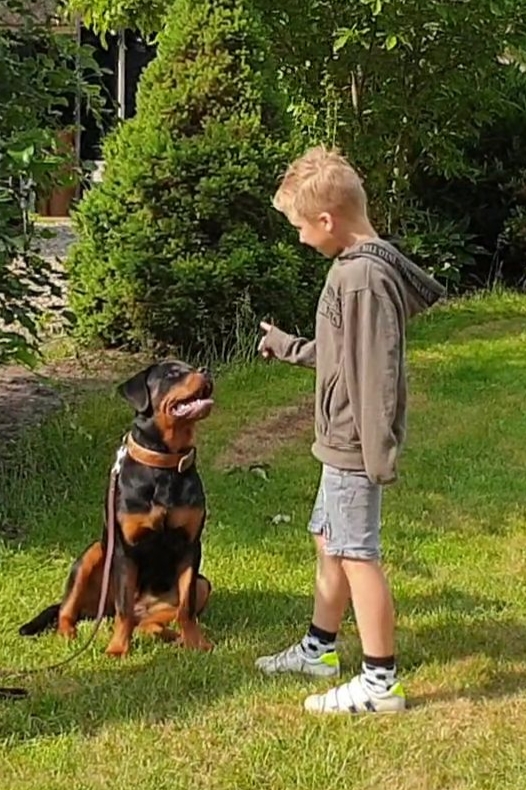 Kind en Hond Training Care4dogs Kampen, IJsselmuiden en Genemuiden